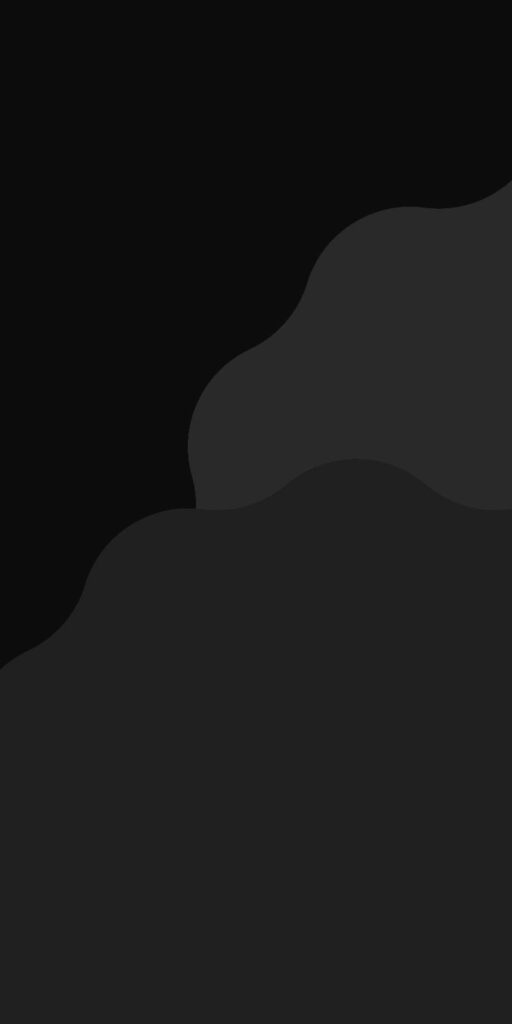 Sleek Plane Takes Flight.