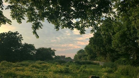 Elevate Your Home with Vintage Green Elegance