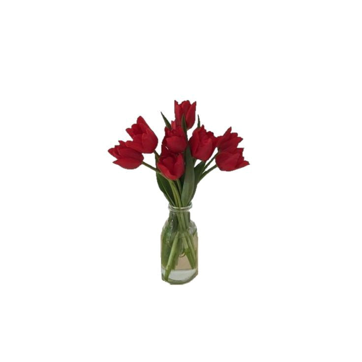 Charming Red Garden in Glass Vase