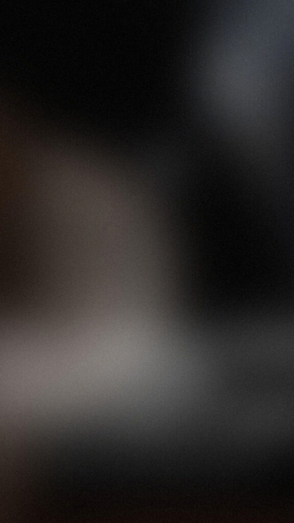 Orange Slice Still Life