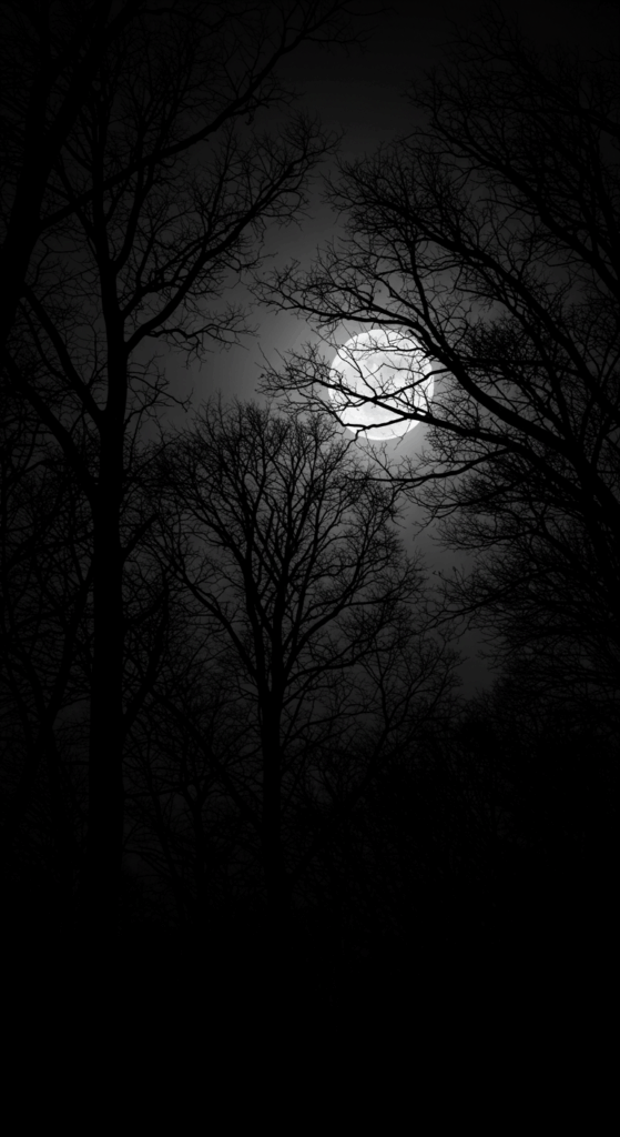 Dramatic Dark Aesthetic Wallpapers