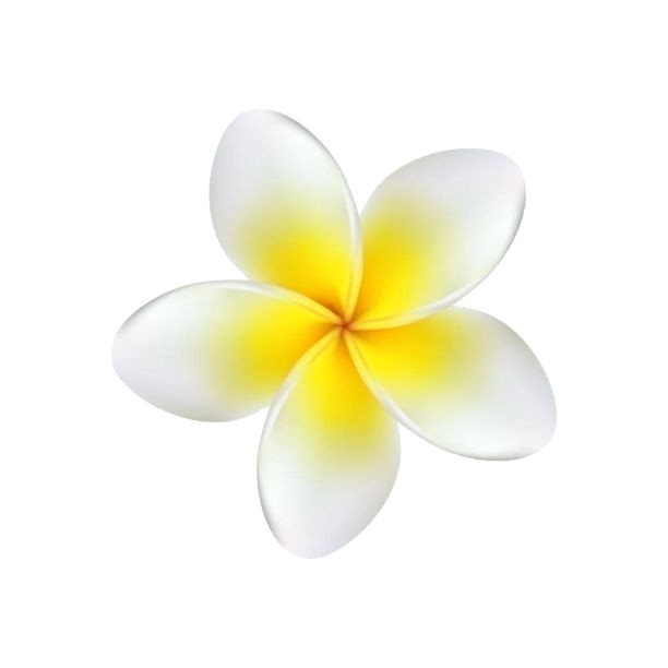 Bright Sunshine in Simple Whites