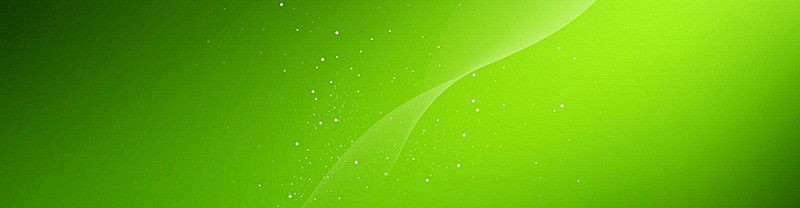 Droplets on Emerald: A Calming Splash of Nature