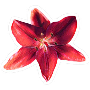 Bright Red Flower Pop of Color