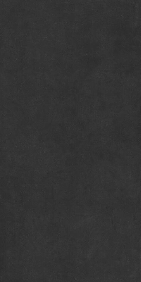 Black and White Beauty: Frame in Focus