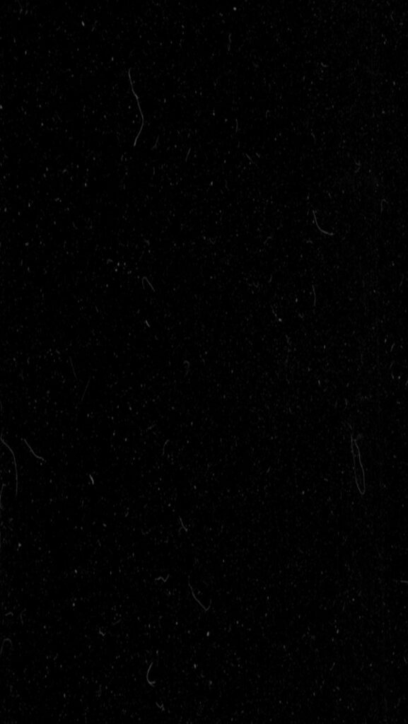 Midnight Flight Under Starry Skies