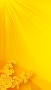 Brighten Up Your Space with Sunny Floral Beauty