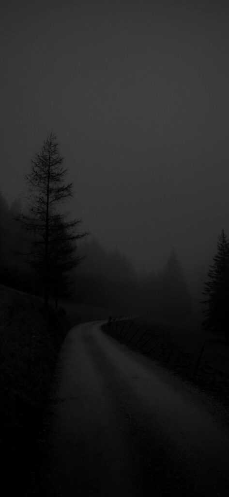 Mysterious Foggy Road