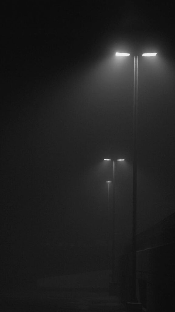 Foggy Nights, Lone Guardians