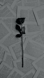 Elegant Chaos: A Single Rose Amidst Bookish Turmoil