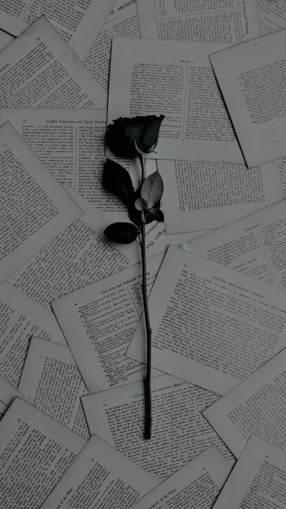 Elegant Chaos: A Single Rose Amidst Bookish Turmoil