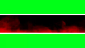 Discover the Image That Stole the Scene