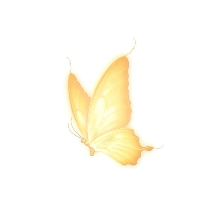 Yellow Butterfly: Magic in Flight
