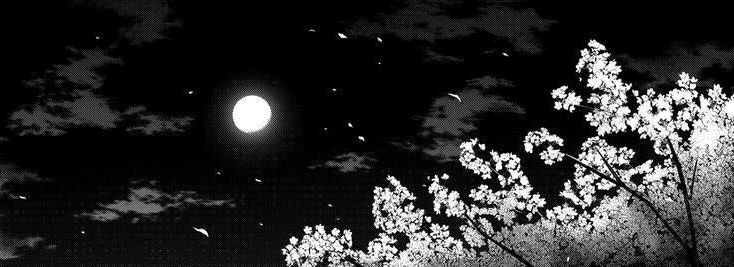 Majestic Trees Under the Midnight Moon