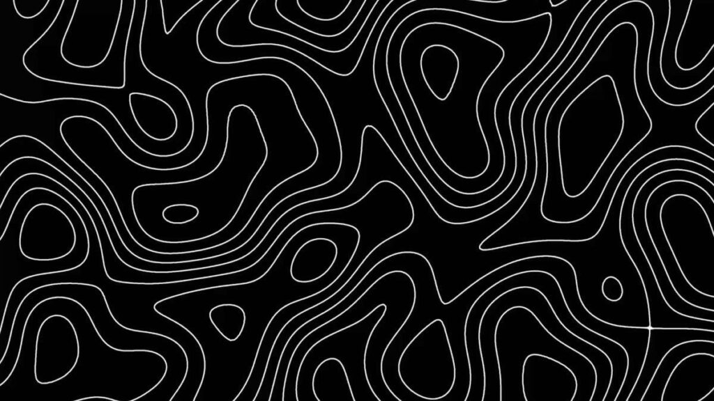 Elegant Black and White Wavy Lines Background